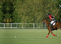 Polo Pitch